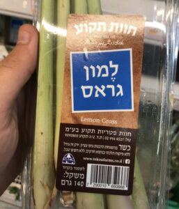 חוות תקוע: למון גראס עשב לימון טרי