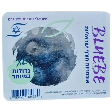 BlueBe: אוכמניות חורף ישראליות גדולות במיוחד