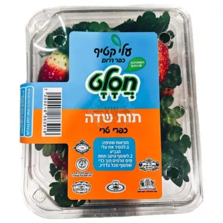 0E949BAE BBD2 42B1 BB5C 0576A98CA91D