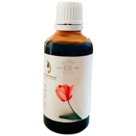 96DA8109 5E2C 4674 979D EDD331470A3D