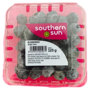 Southern Sun-Hortifrut: אוכמניות טריות נספק